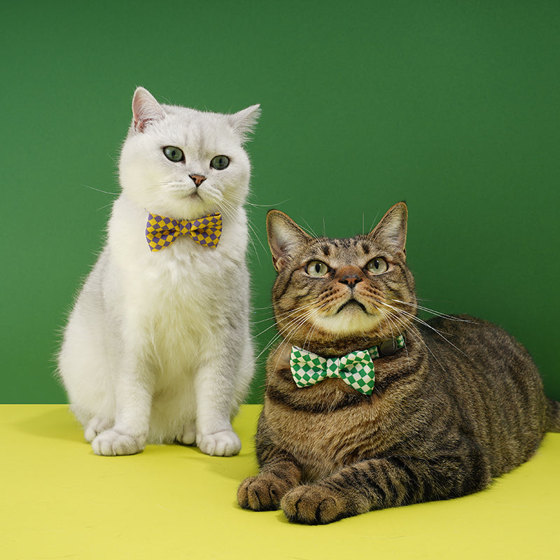 kikipals